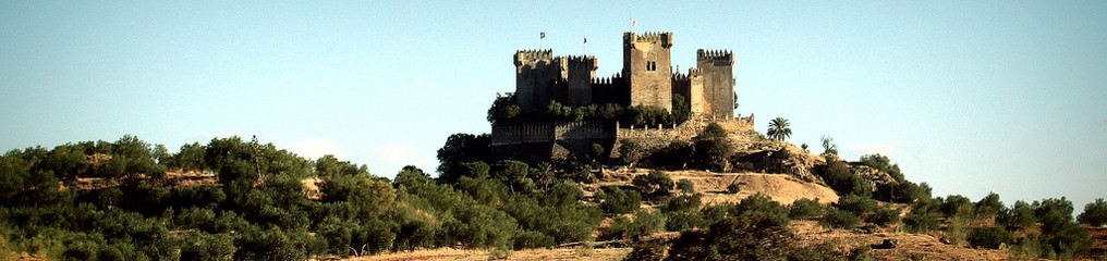 Замок Альмодовар