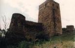 Крепость Ананури - башня Шеуповари