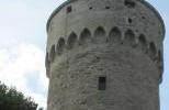 Замок Тоомпеа - Башня Длинный Герман